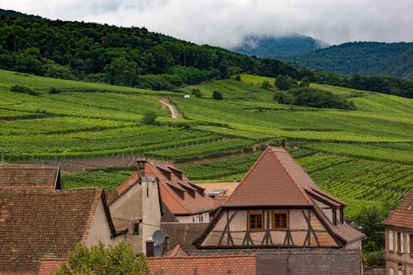 Les atouts cachés des terrains immobiliers en Alsace